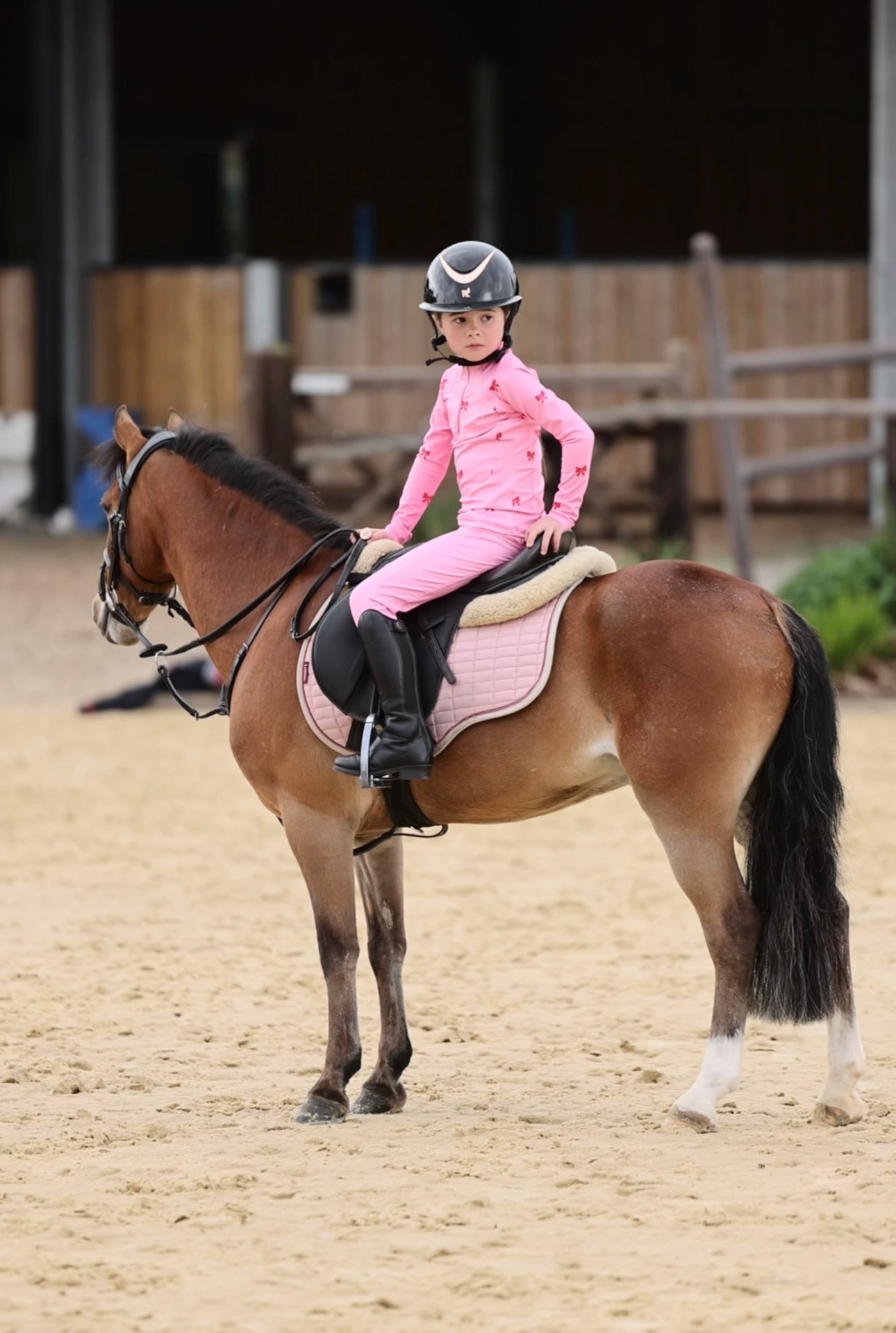 Limited Edition Lucie Breeches