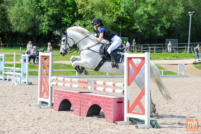 Performance Riding Leggings